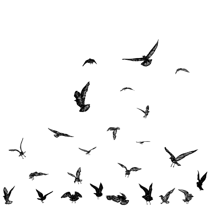 Inked Voices - Share your voice, exchange feedback and become a better writer.